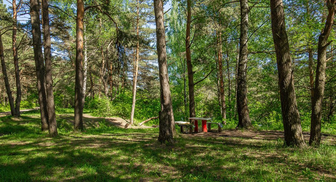 Новосельцево