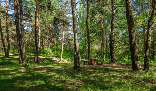 Новосельцево