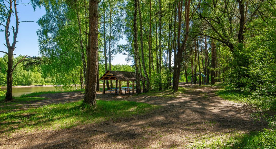 Новосельцево