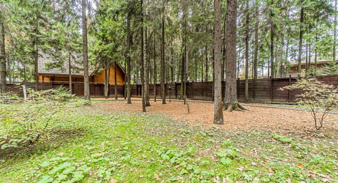 Тихая гавань