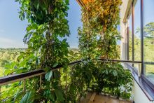 Зеленые холмы