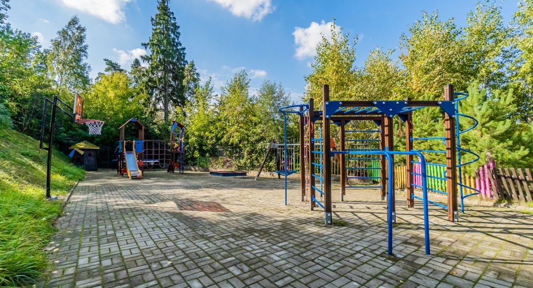 Зеленые холмы