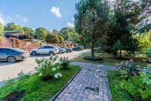 Зеленые холмы