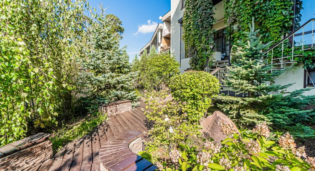 Зеленые холмы