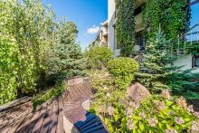 Зеленые холмы