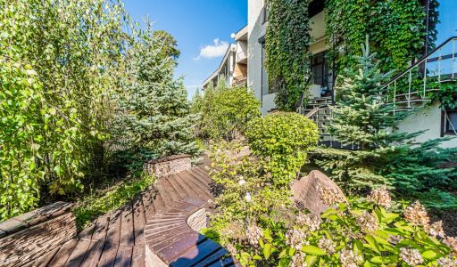 Зеленые холмы