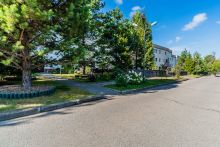 Зеленые холмы