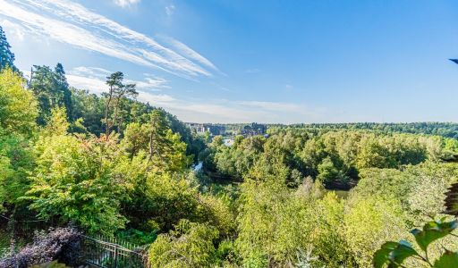 Зеленые холмы