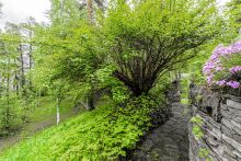 Усадьба в Лосино-Петровское