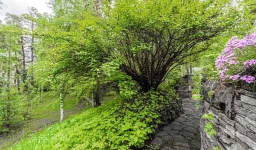 Усадьба в Лосино-Петровское