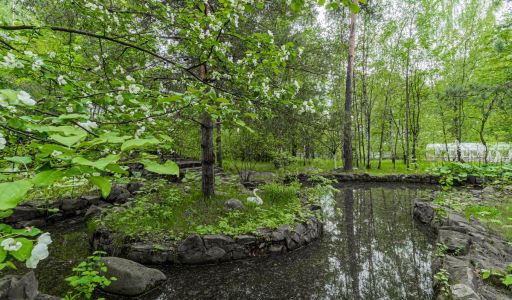 Усадьба в Лосино-Петровское