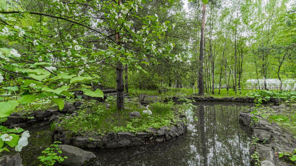 Усадьба в Лосино-Петровское