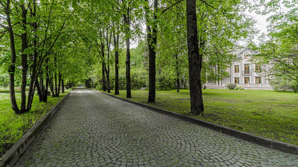 Усадьба в Лосино-Петровское