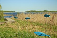 Усадьба на берегу оз. Селигер