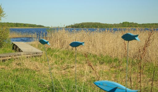 Усадьба на берегу оз. Селигер