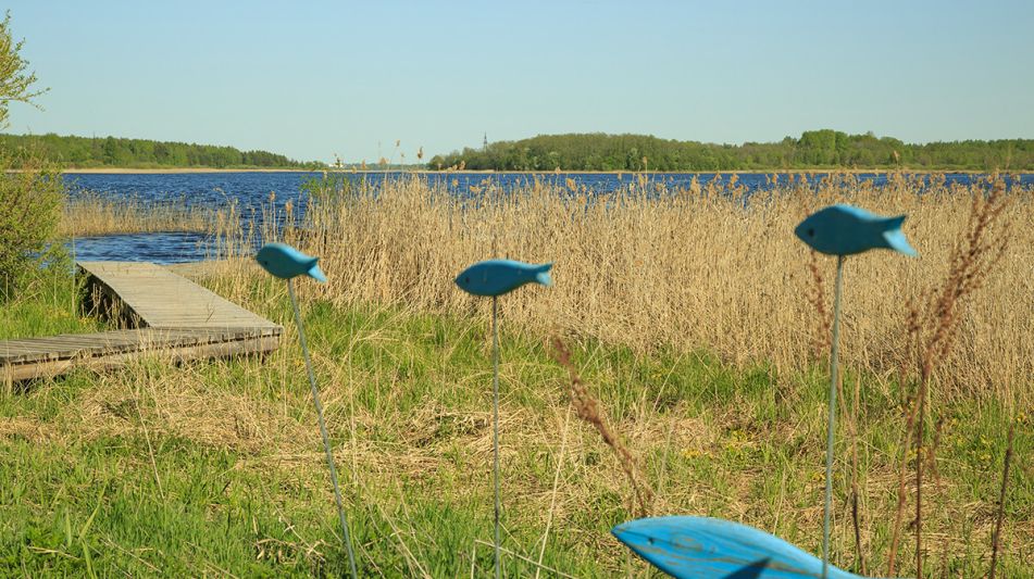 Усадьба на берегу оз. Селигер
