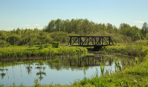 Усадьба на берегу оз. Селигер