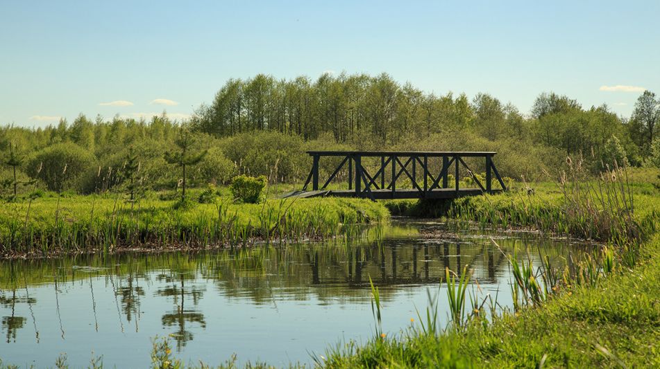 Усадьба на берегу оз. Селигер