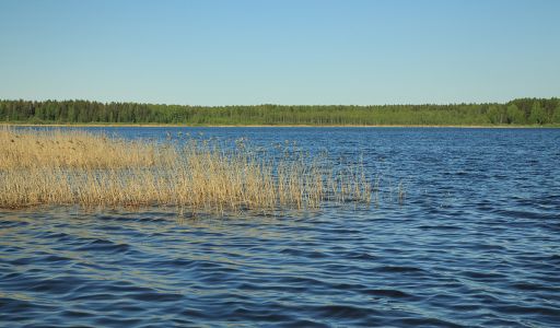 Усадьба на берегу оз. Селигер