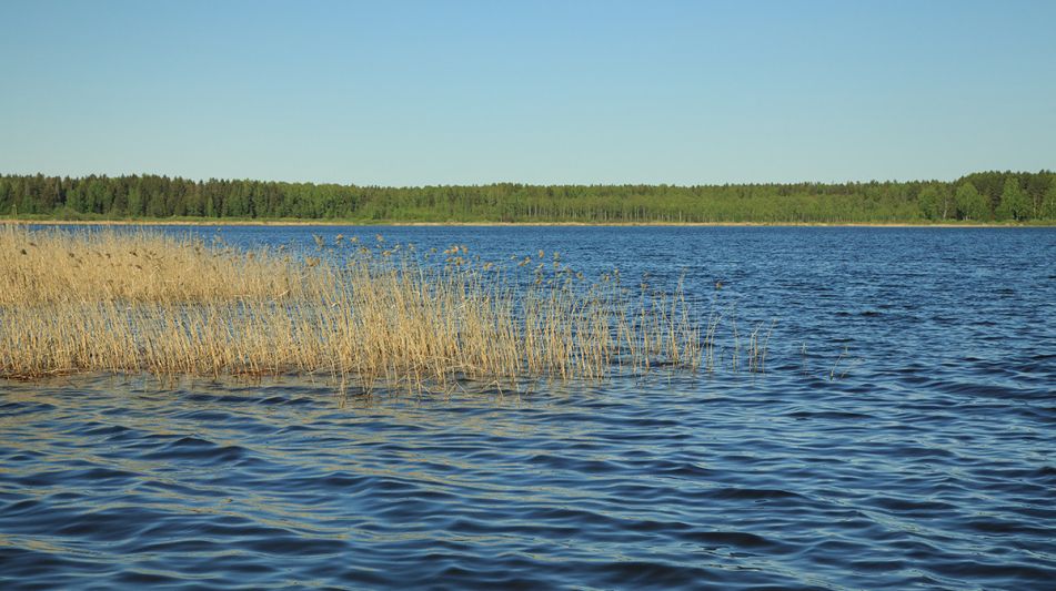 Усадьба на берегу оз. Селигер