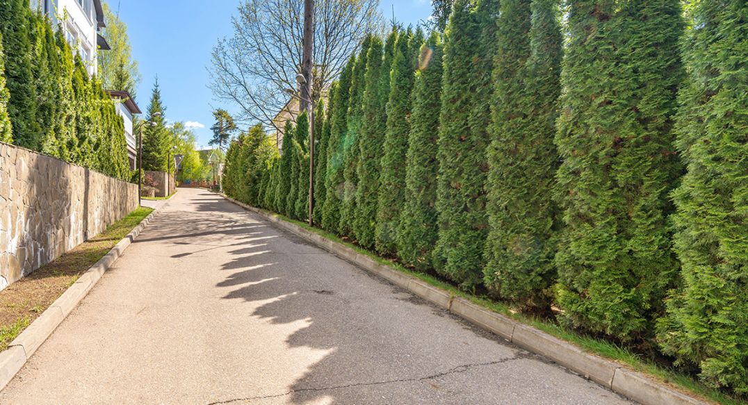 Машкинские холмы