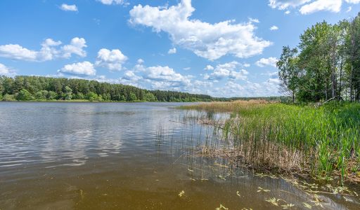 Большая Вода