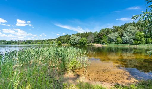 Акватория Истры