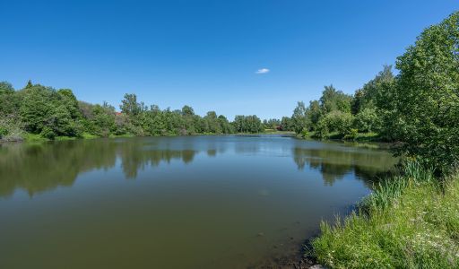 Поляна
