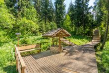 Сосновый Берег