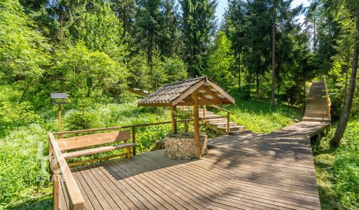 Сосновый Берег