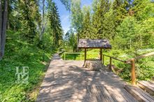 Сосновый Берег