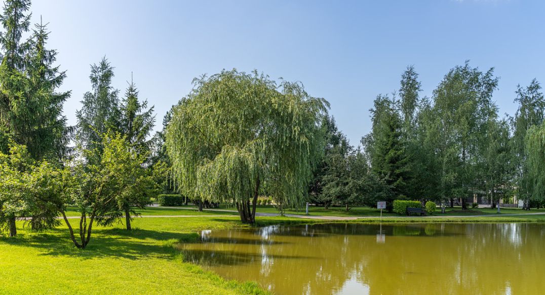 Новорижский