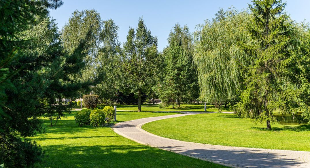 Новорижский