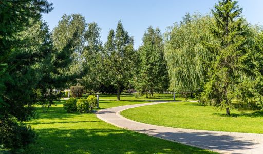 Новорижский