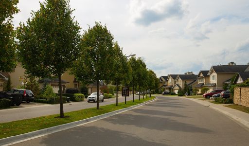 Новые вешки