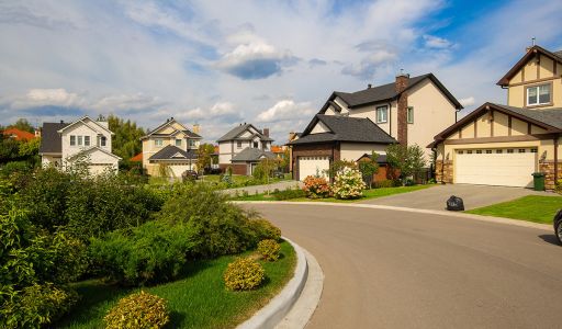 Новые вешки