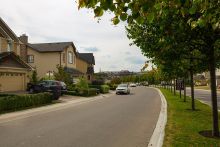 Новые вешки