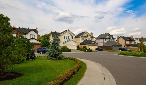 Новые вешки