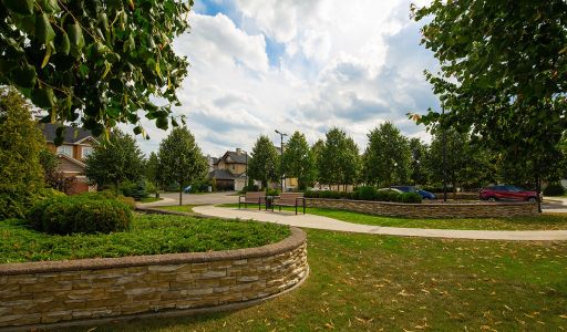 Новые вешки