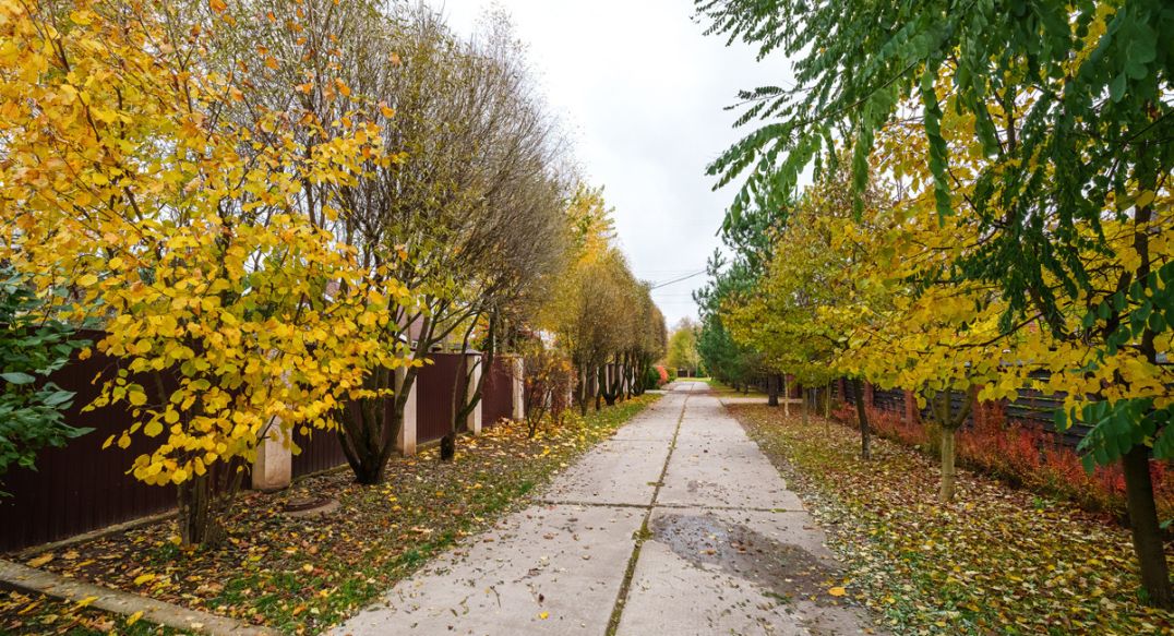 Турово