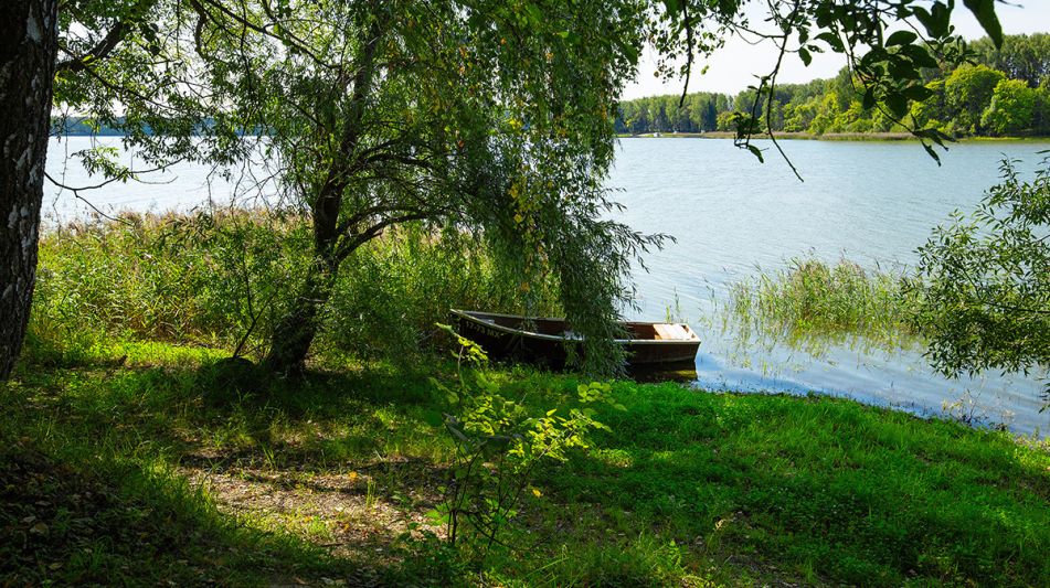 Дом у воды в Тимофеево