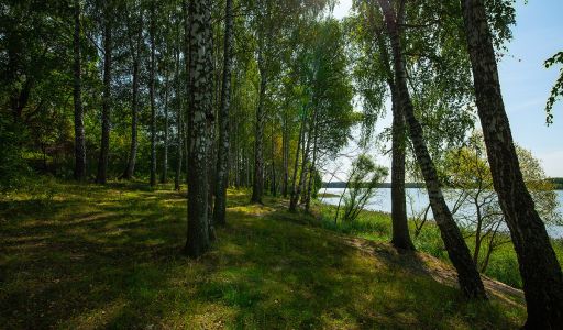 Дом у воды в Тимофеево