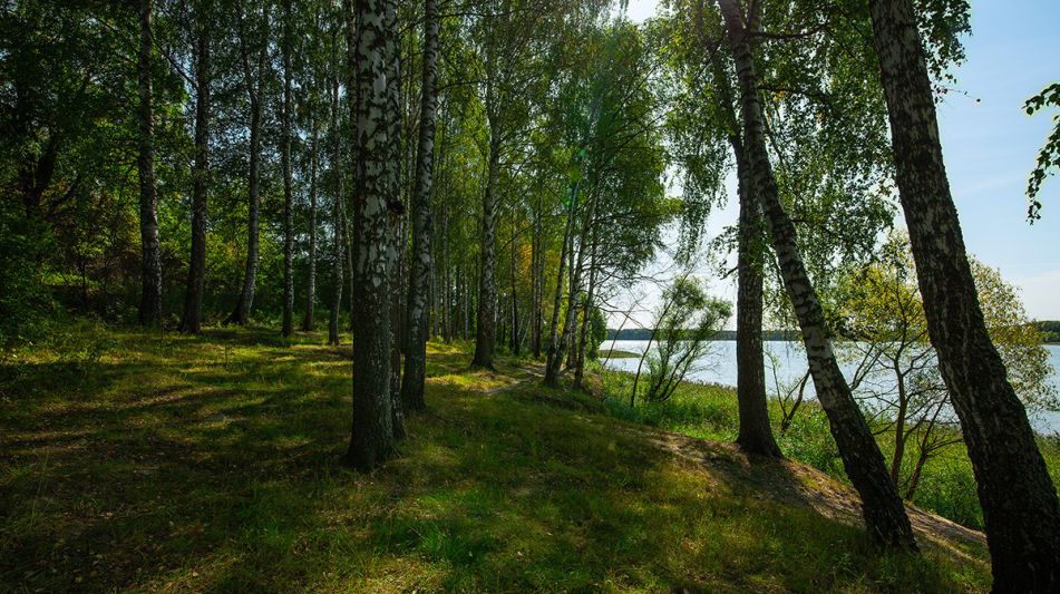 Дом у воды в Тимофеево