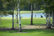 Гольф клуб Пестово