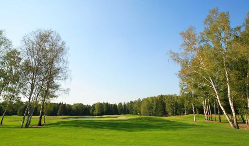 Гольф клуб Пестово
