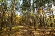 Участок рядом с водой в Витенево