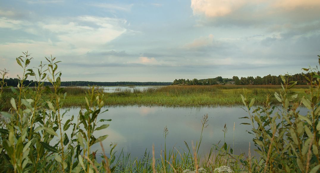 Бараново