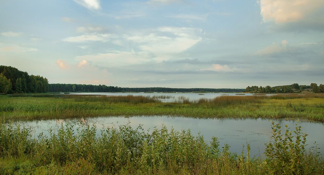 Бараново