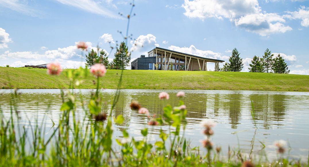 Вилла Линкс