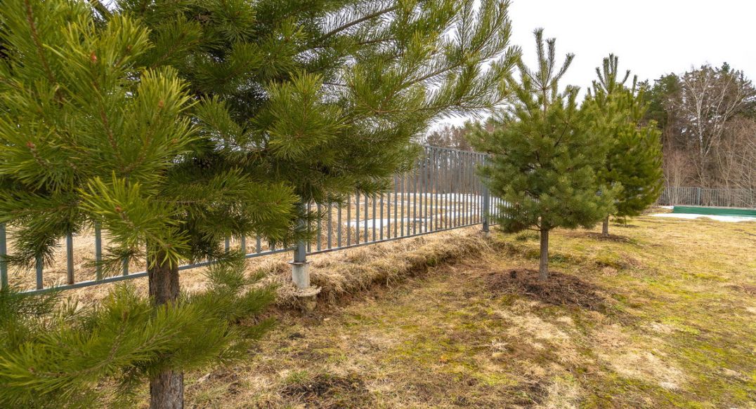 Высокий берег